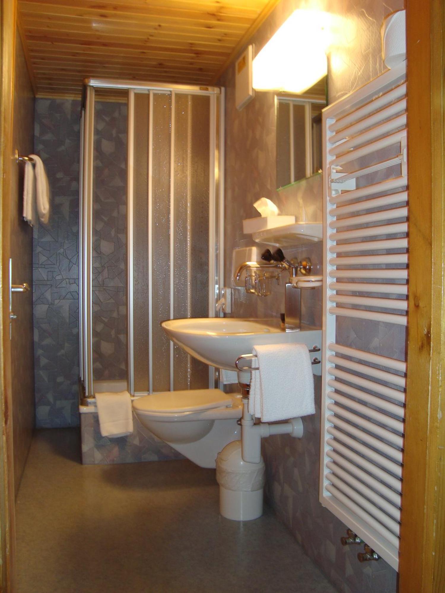 Hotel Restaurant Alpenblick Ernen Екстериор снимка